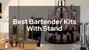 Best Bartender Kits With Stand