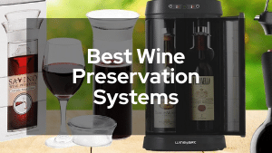 Best Wine Preservation Systems